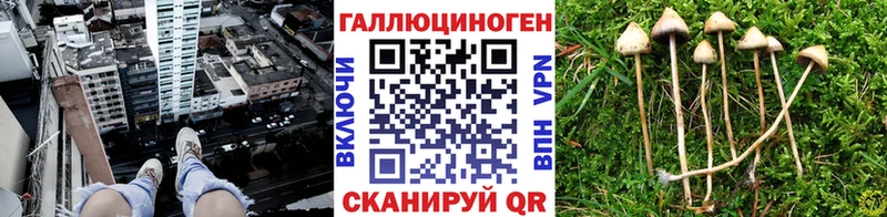 Псилоцибиновые грибы Magic Shrooms mega рабочий сайт Белая Холуница